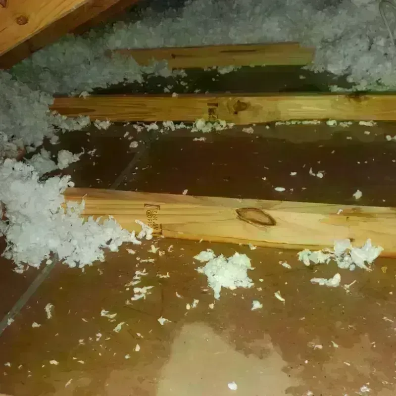 Attic Water Damage in Amesti, CA