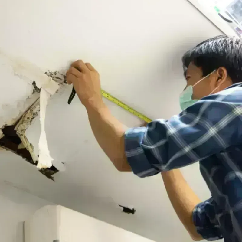 Ceiling And Wall Water Damage in Amesti, CA